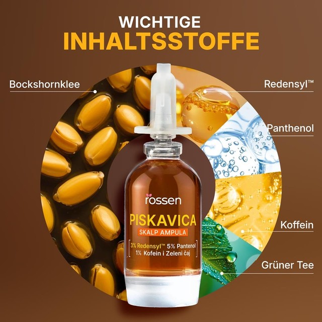 SLAJD-3---KLJUÄNI-SASTOJCI---DE