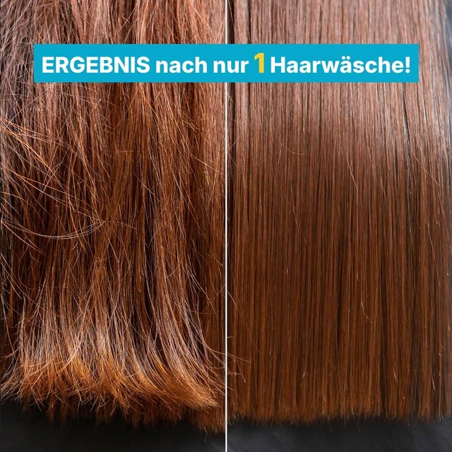 PISKAVICA-Å AMPON-slajd-6